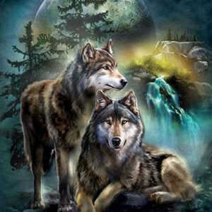 Moon Wolves