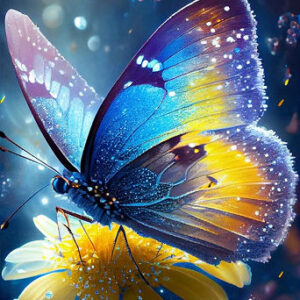 Blue & Yellow Flower Butterfly