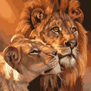 Lion Love