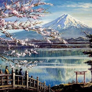 Mountain Cherry Blossom